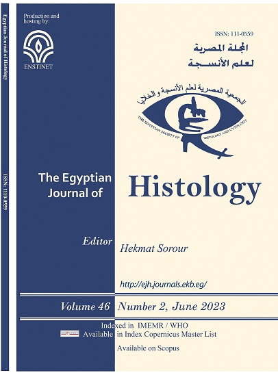 Egyptian Journal of Histology