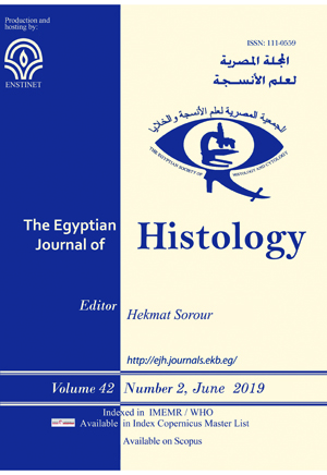 Egyptian Journal of Histology